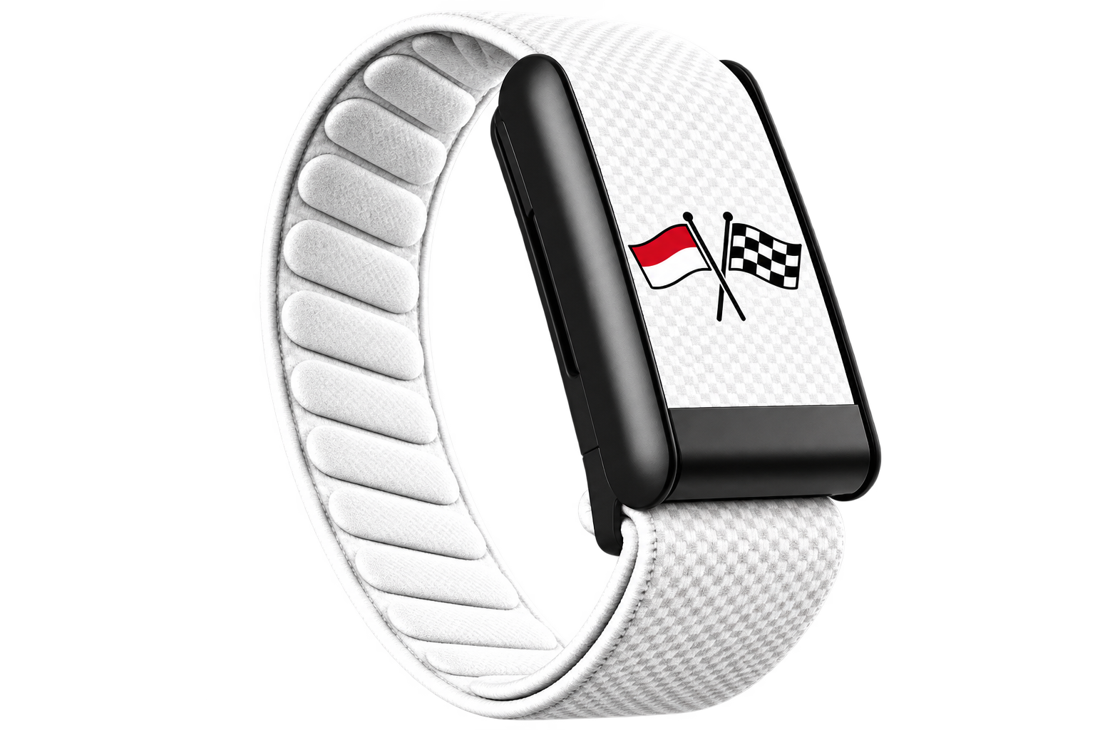 Courses automobiles