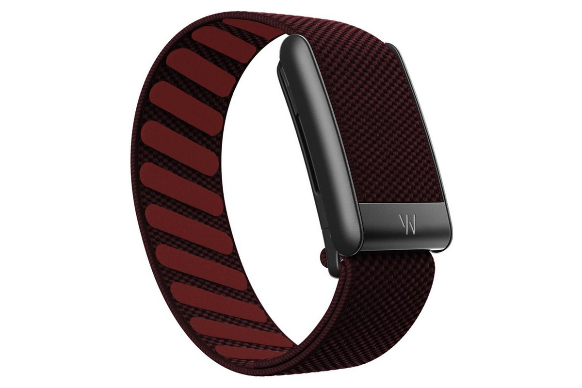 STRIVO Merlot band